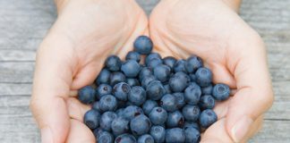 Andoxunarefni / Antioxidants