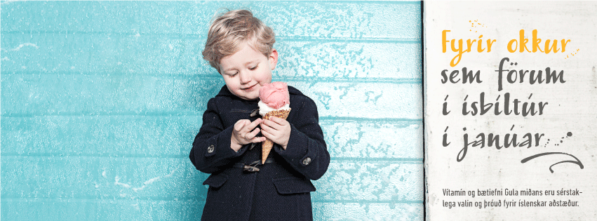 VEF_851x315_GuliMidinn-Tumi_0116